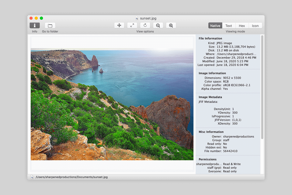 واجهة freefileviewer