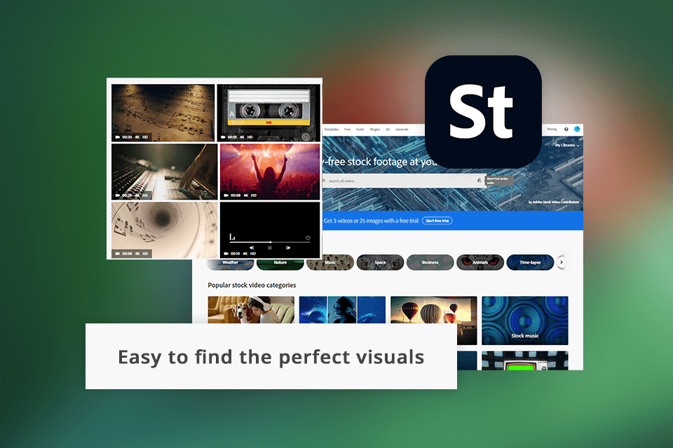 adobe stock interface
