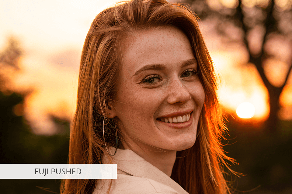 fuji pushed mastin labs presets