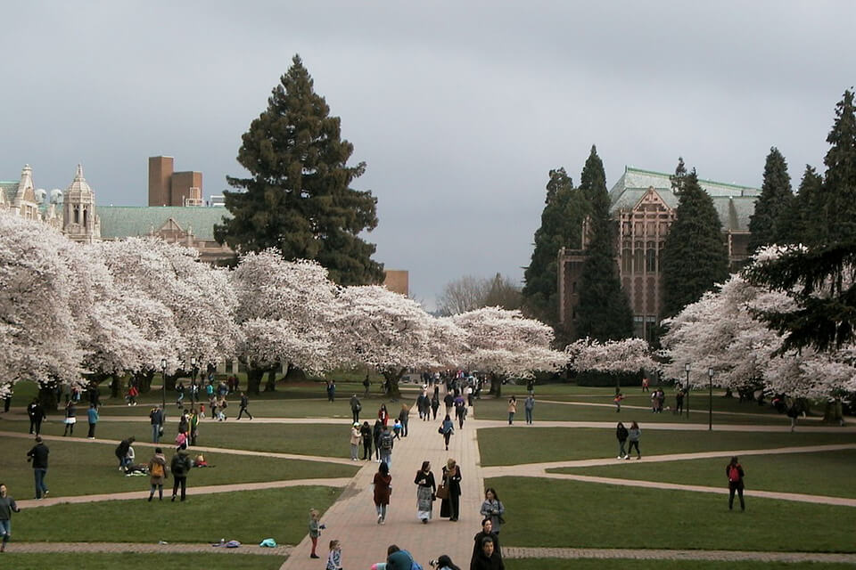 fujifilm gfx50s fujifilm camera lifestyle