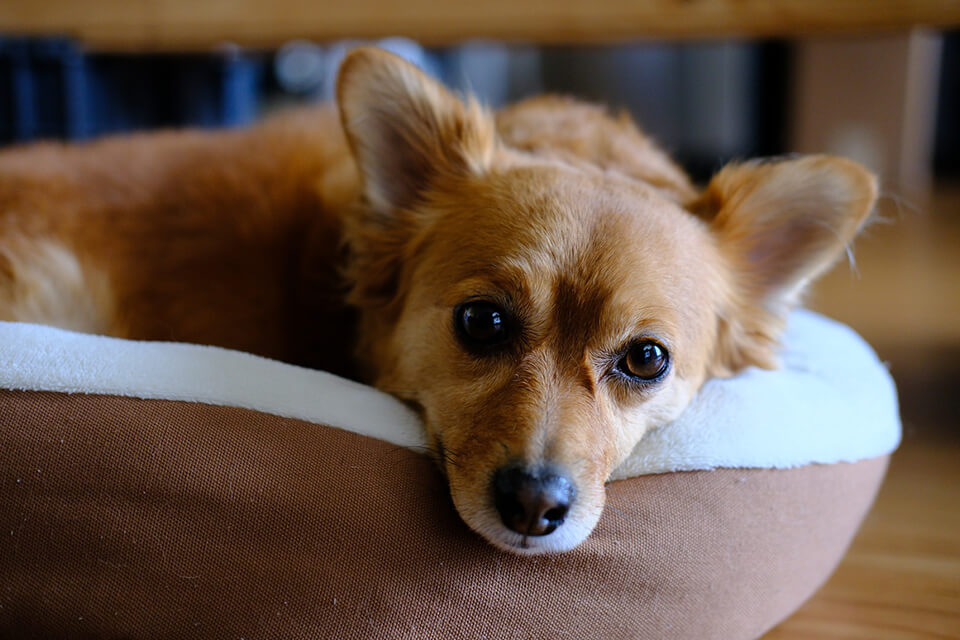 fujifilm x-h2 fujifilm camera lifestyle