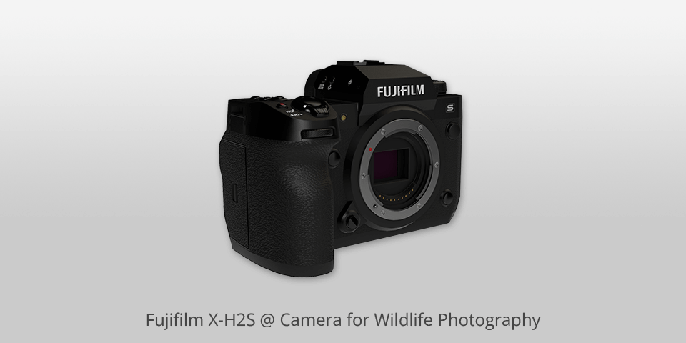 fujifilm x-h2s camera for wildlife photography