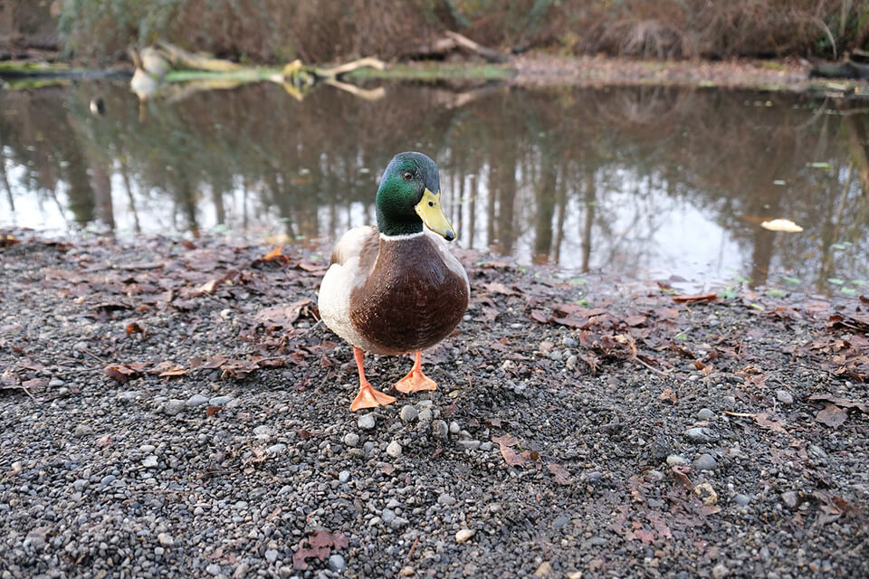 fujifilm x-s10 fujifilm camera lifestyle