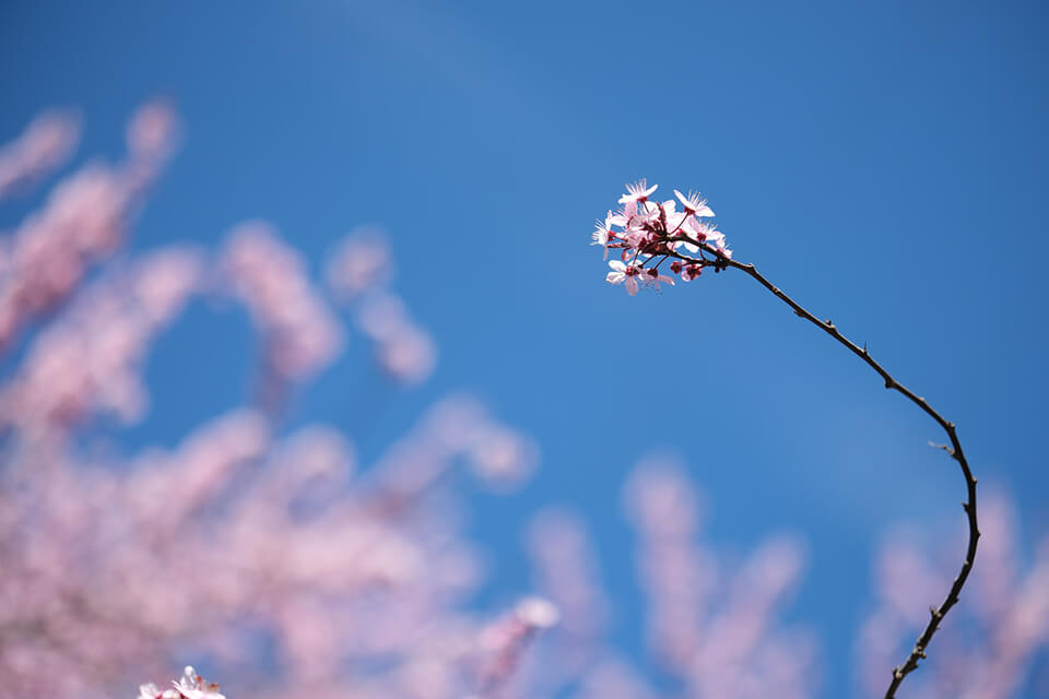 fujifilm x-t5 fujifilm camera lifestyle