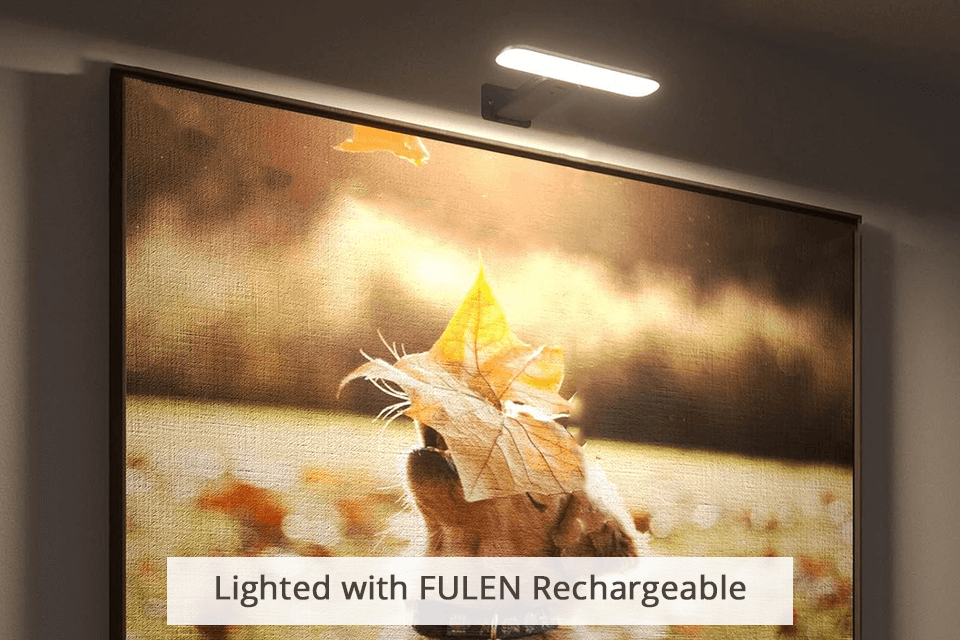 fulen rechargeable light for painting