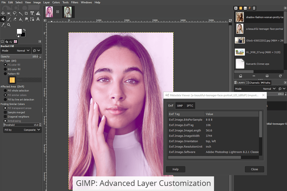 Gimp Vs Glimpse Which Software Is Better Gimp Vs Glimpse Which Software Is Better