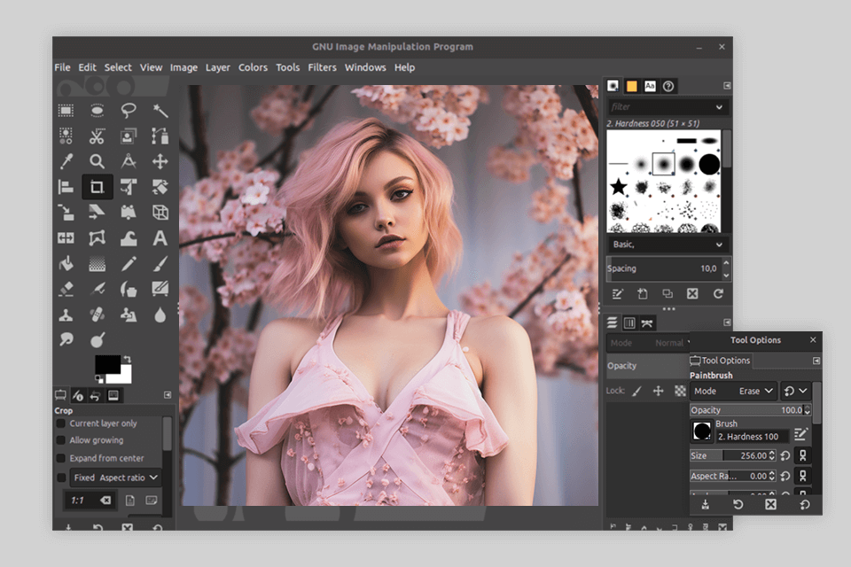 gimp linux photo editor interface