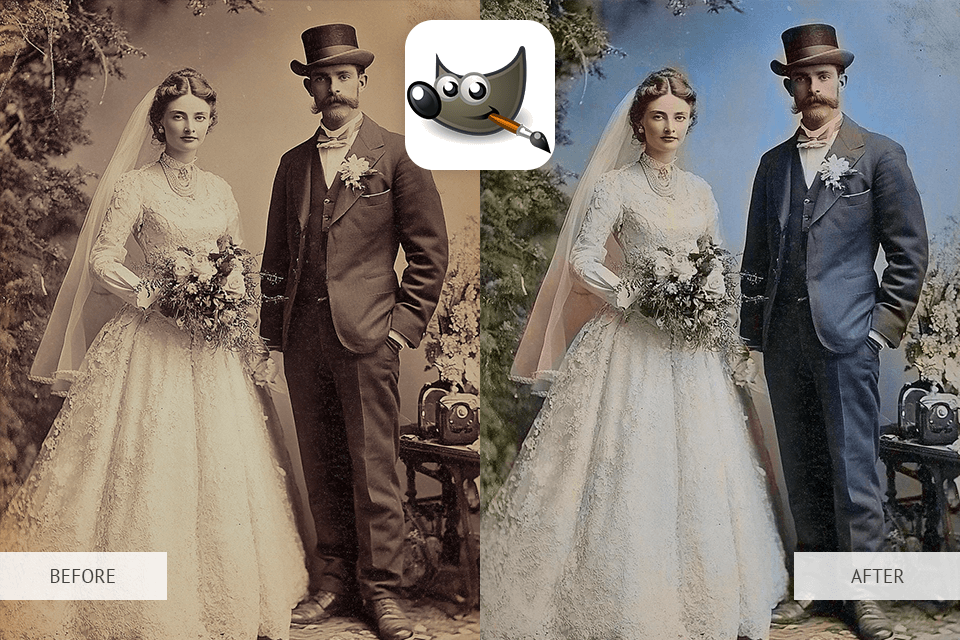 gimp photo colorizer