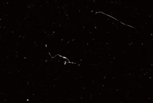 vidéo de superposition de pépin