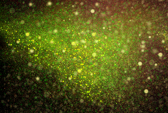 glitter tekstuuri