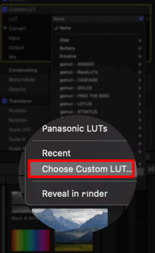 go to the video inspector window to apply a camera lut