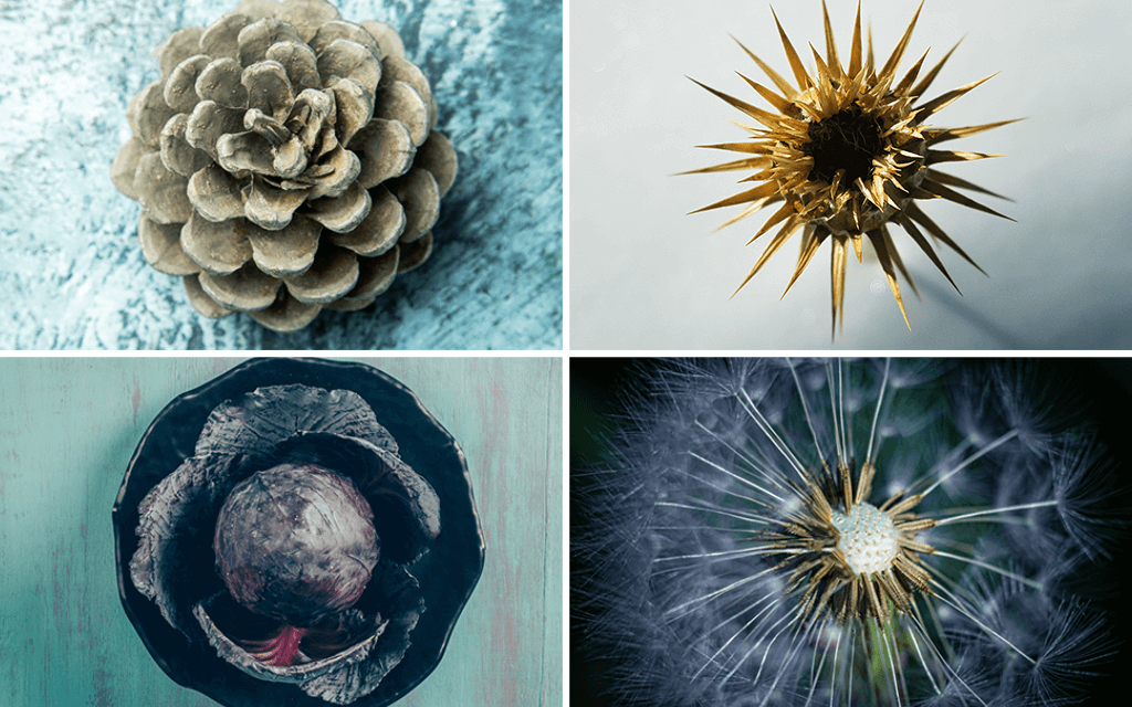 golden ratio examples