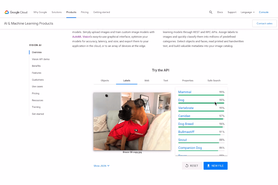 google ai platform artificial intelligence software interface