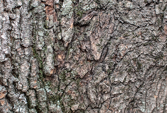 sada textur trávy terénu