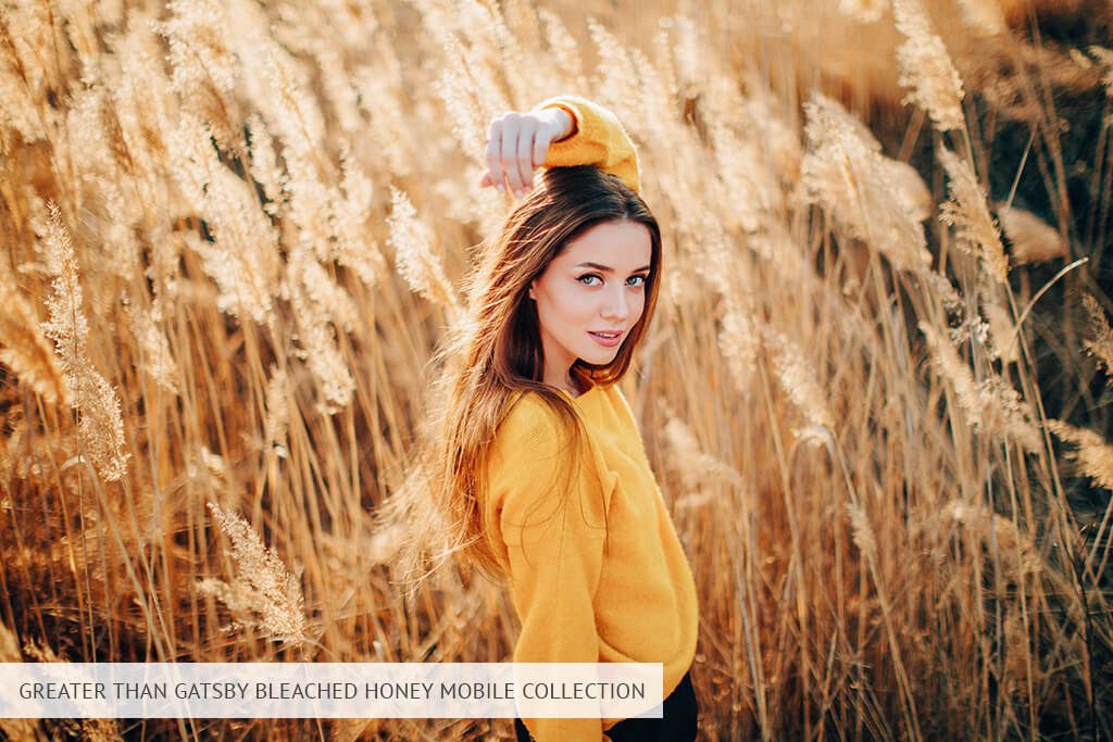 greater than gatsby presets bleached honey mobile