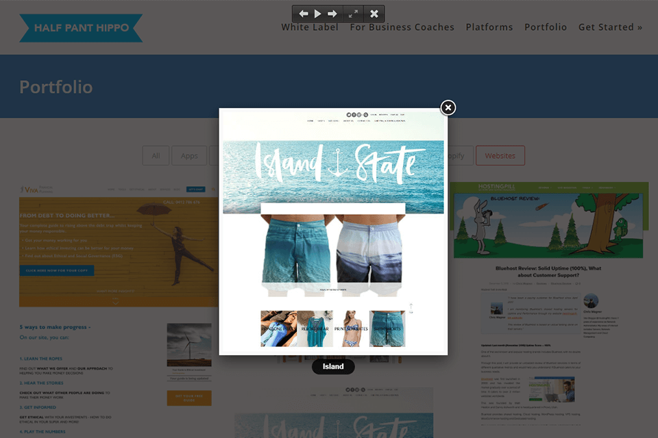 half pant hippo portfolio example