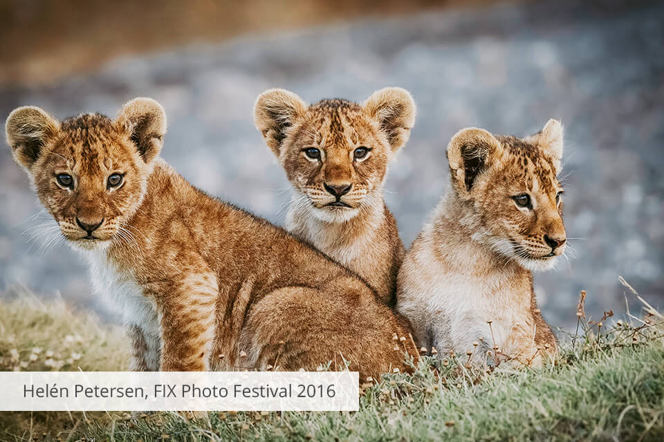 helen petersen fix photo festival 2016