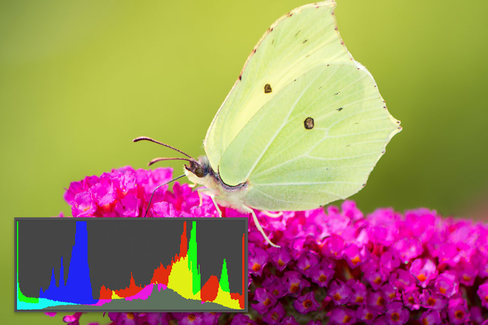 histogram on camera color histogram