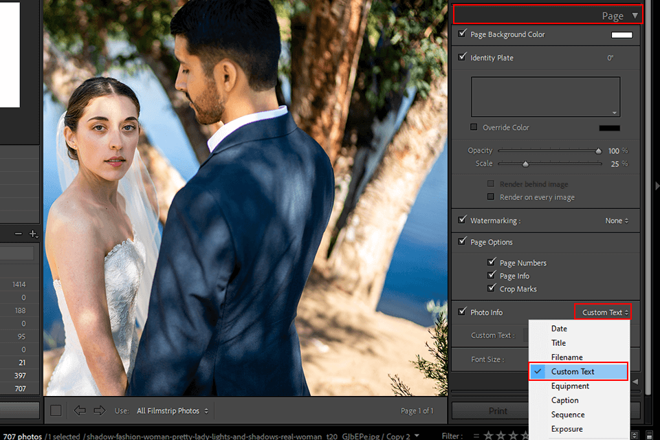 كيفية إضافة نص في معلومات صورة Lightroom