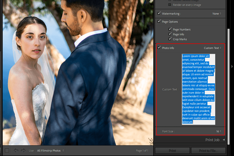 كيفية إضافة نص في نوع lightroom