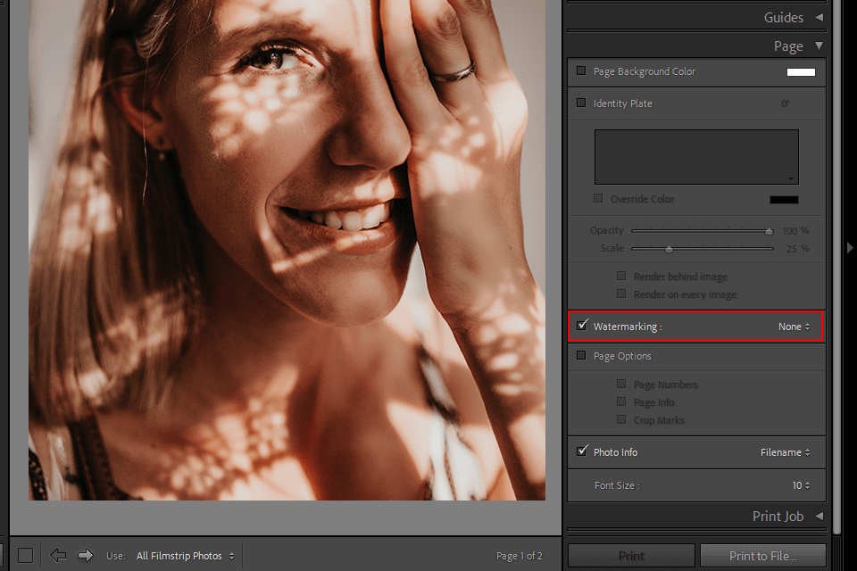 كيفية إضافة نص في محرر العلامة المائية lightroom