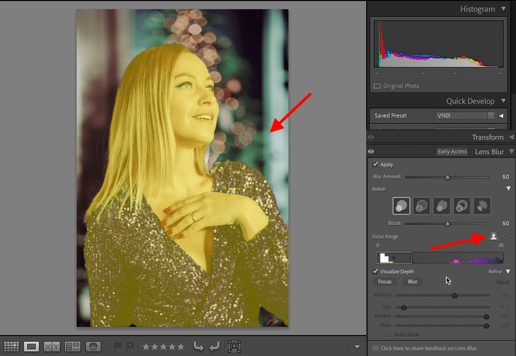 how to blur a background in lightroom adjusting