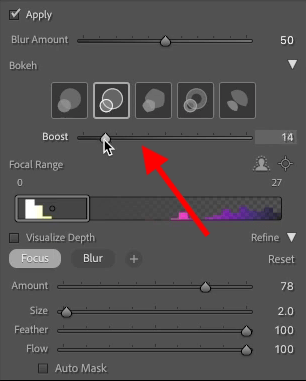 how to blur a background in lightroom final edits