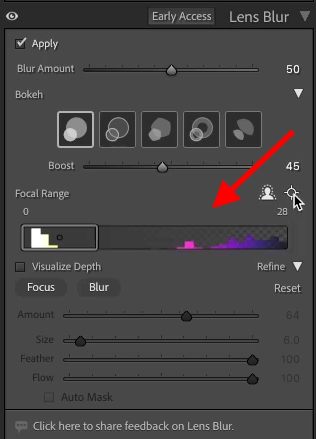 how to blur a background in lightroom lens blur tool