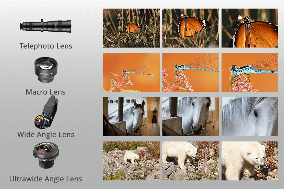 how to choose the phone camera lens