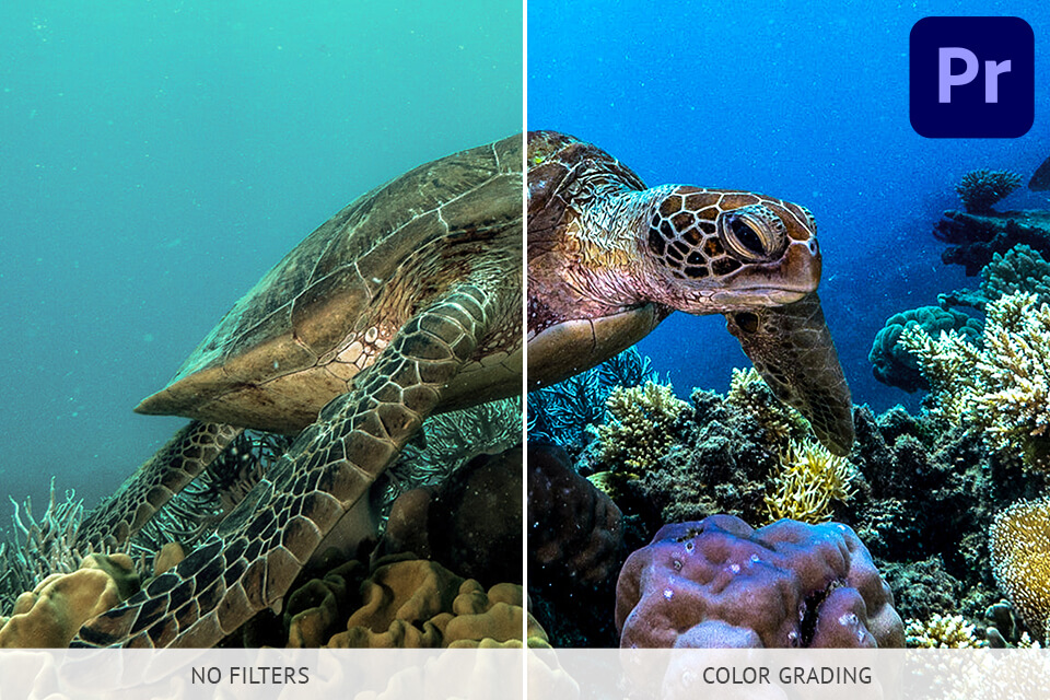 how to do underwater videography