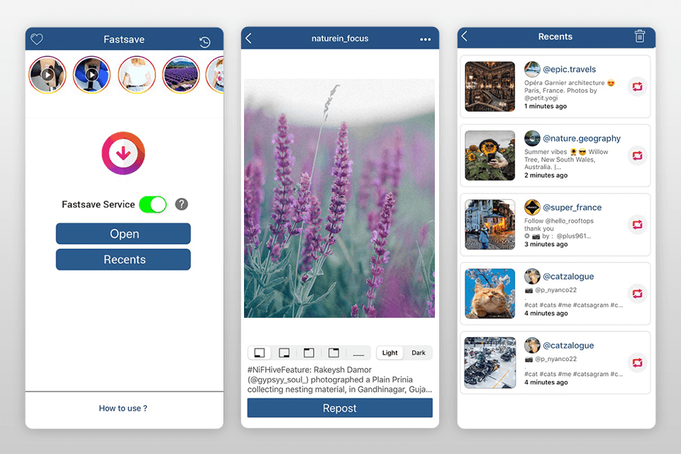 how to download instagram photos fastsave interface