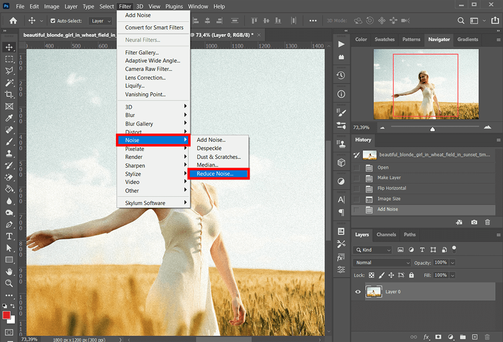 How To Fix Grainy Photos In Photoshop Step by Step Tutorial