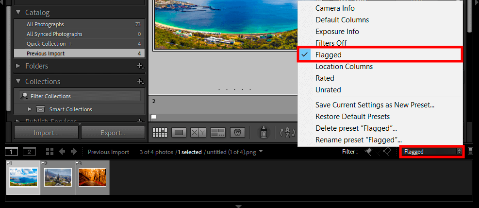كيفية الإبلاغ عن الصور في مرشح lightroom