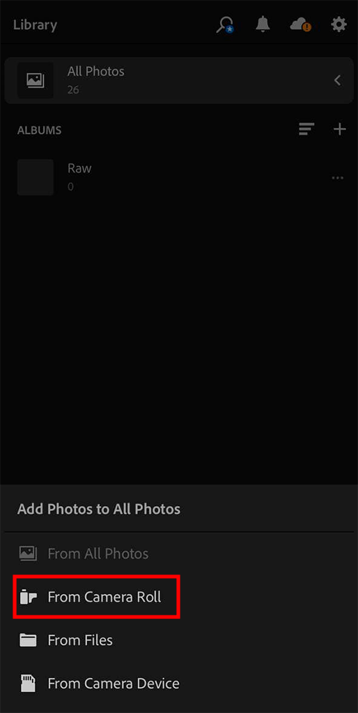 how to import raw files into lightroom mobile photo source