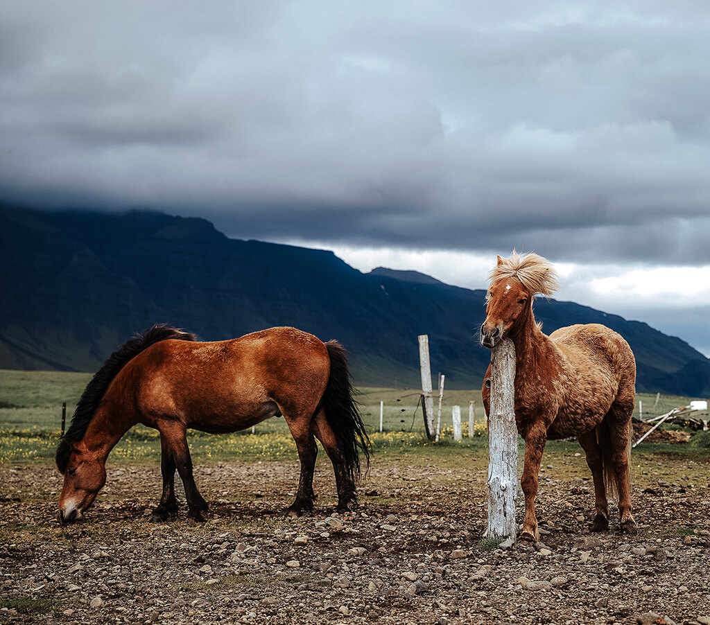 how to make image darker