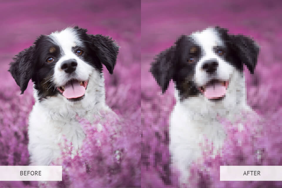how to pixelate an image photoshop before after