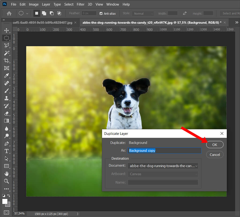 How to Pixelate an Image in Photoshop