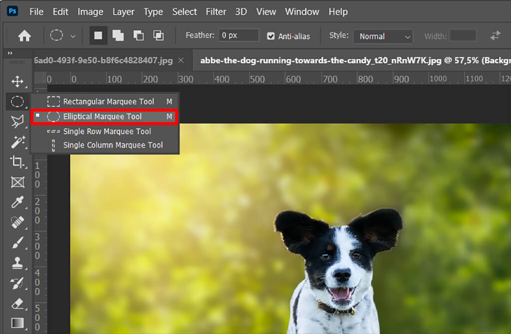 how to pixelate an image photoshop partially with elliptical marquee tool