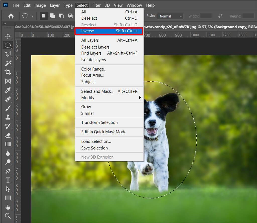 how to pixelate an image photoshop partially inverse selection