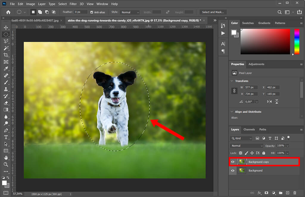 how to pixelate an image photoshop partially selecting the area