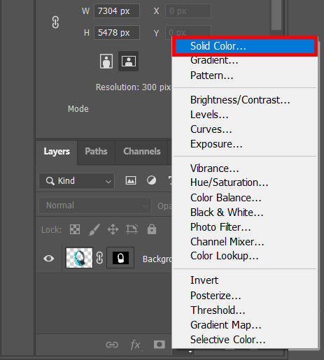 how to use magic wand in photoshop solid color adjustment layer