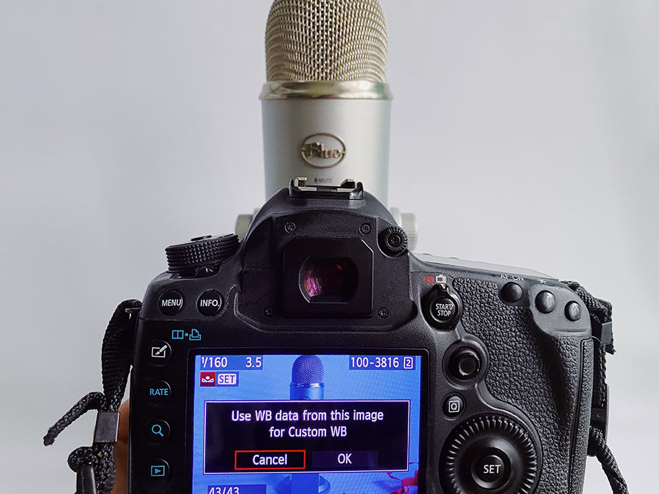 How To Use White Balance Card For Accurate Colors how-to-use-white-balance-card-for-accurate-colors