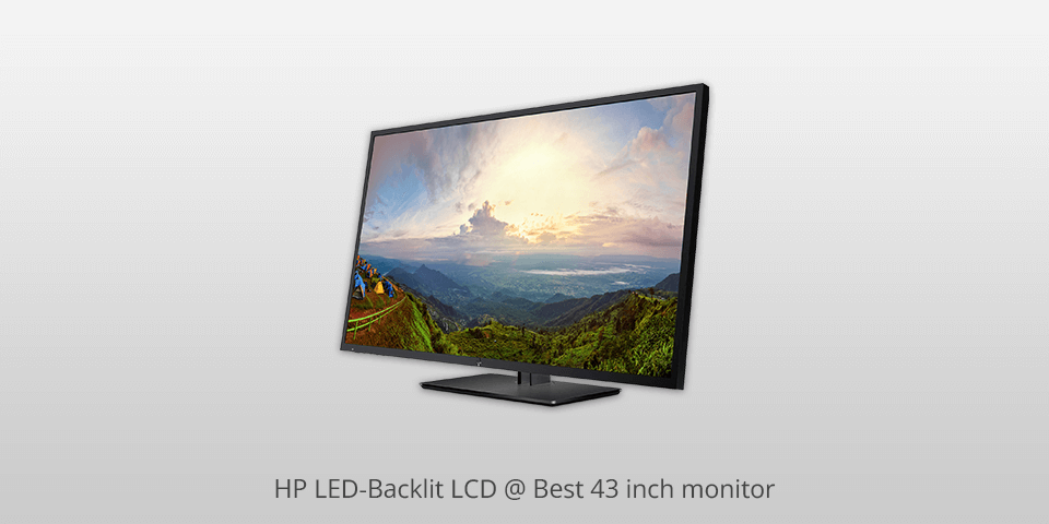 9 Best 43-inch Monitors in 2025