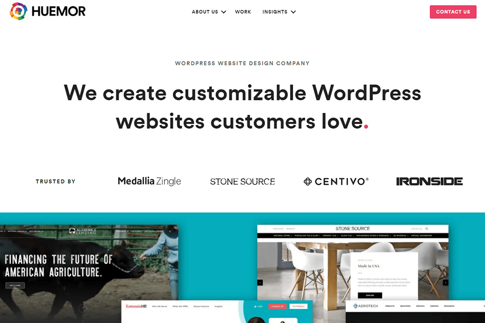 huemor wordpress developer website