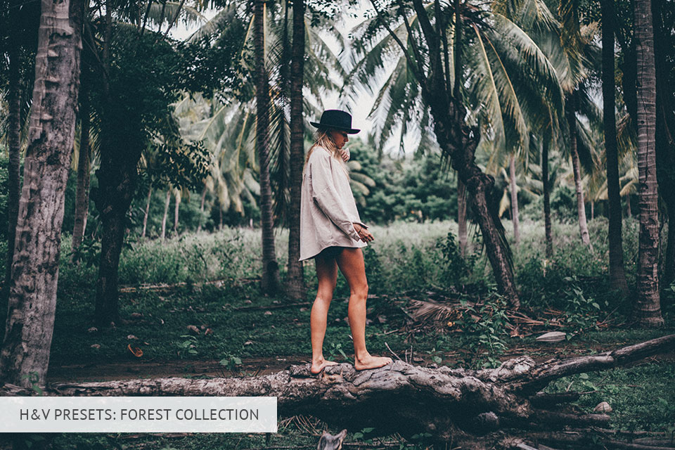 h&v presets forest