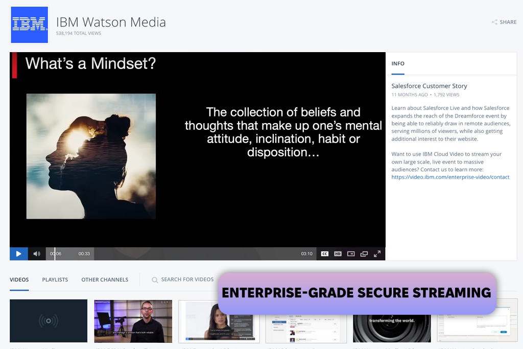 ibm video delivery platform