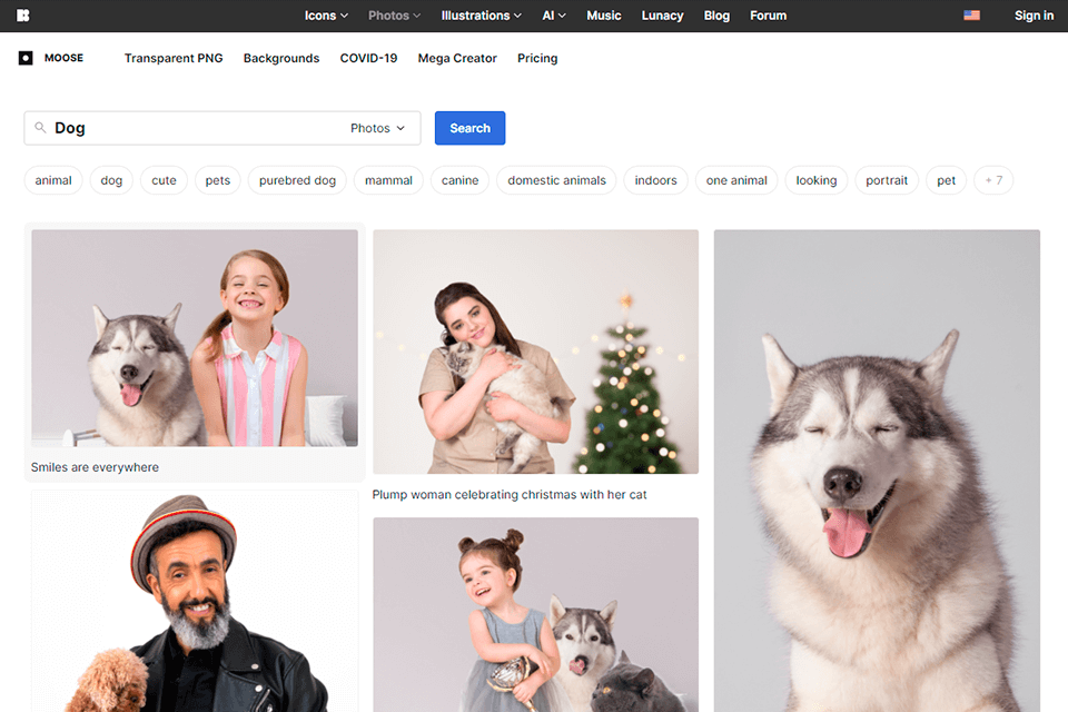 icon8 بيكساباي البديل