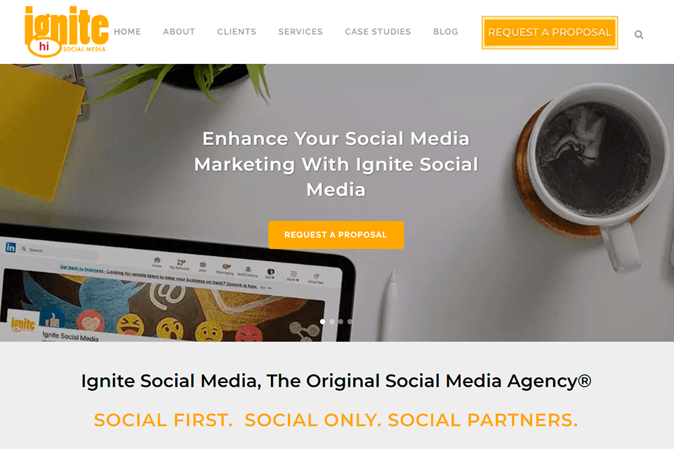 ignite social media marketing company interface
