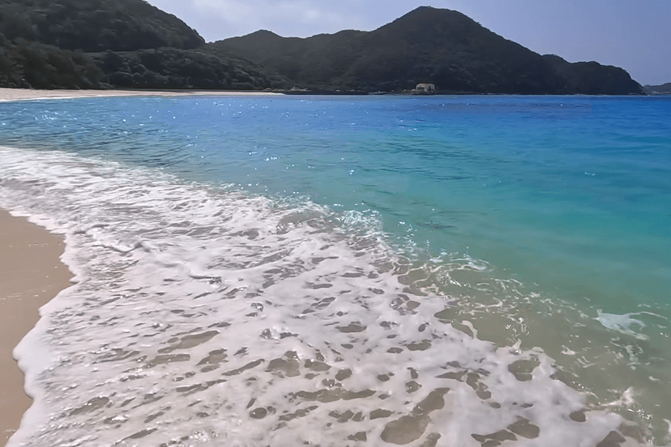 ilford xp2 black and white disposable camera