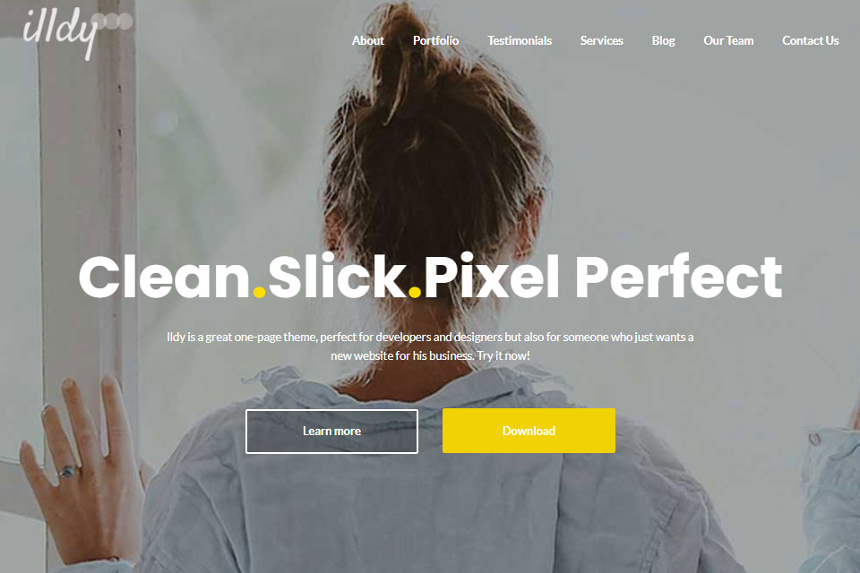 illdy free wordpress theme for portfolios